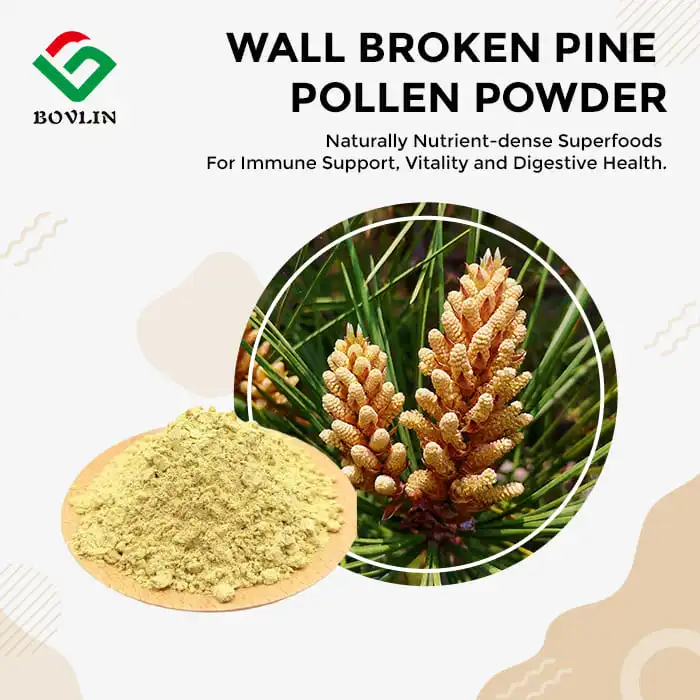 Cell Wall Broken Pine Pollen Powder